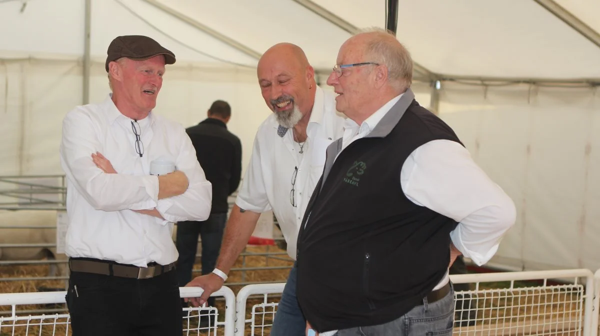 Henning Nielsen, formand for Texelforeningen, får sig en snak med de to dommere Brian Lundgaard (tv.) og Harald Jepsen (midt) efter nogle veloverståede bedømmelser.