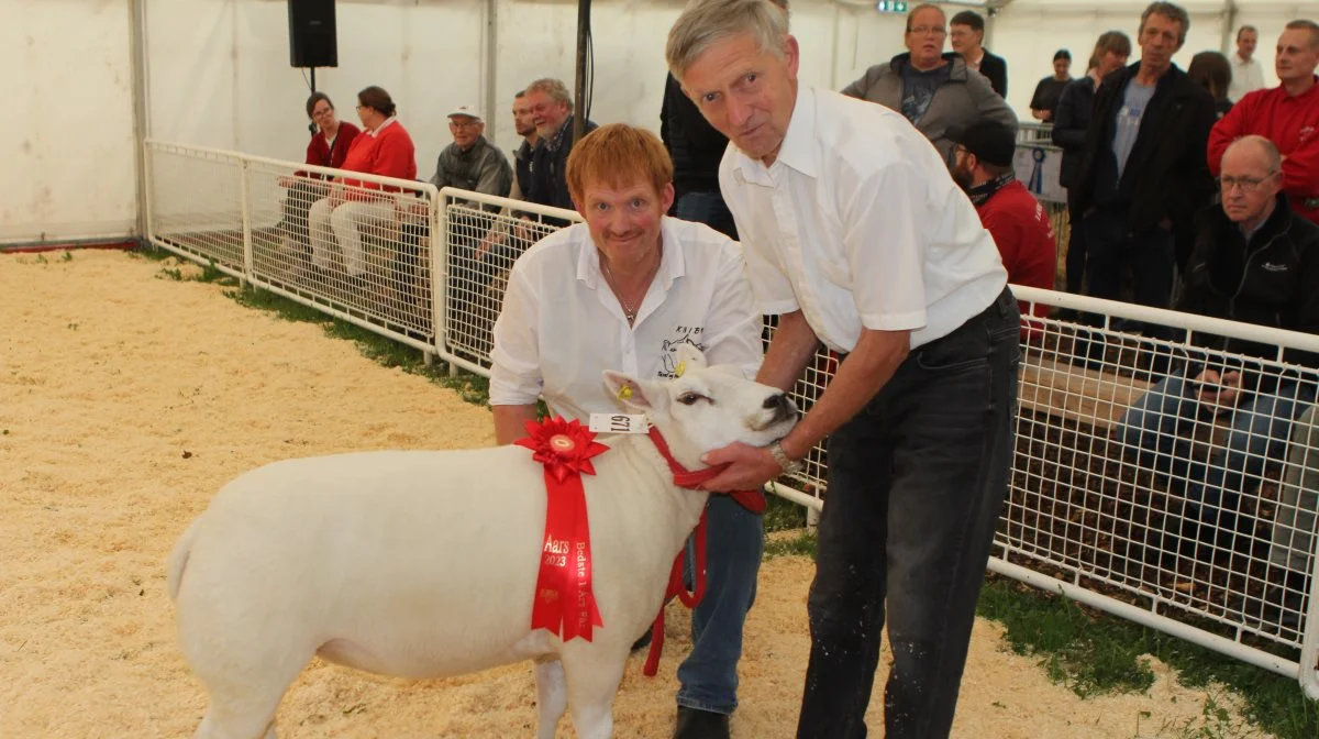 Bedste etårs får: Texel fra Anker Helmer Nørholm Jensen, Kousted, Randers
