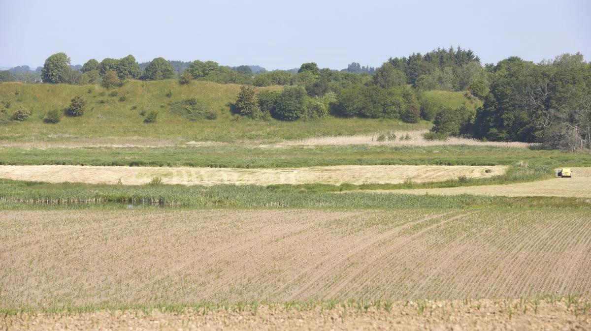 Landbruget har en tilpas størrelse i det danske landskab, mener et flertal i en ny meningsmåling. Arkivfoto: Erik Hansen