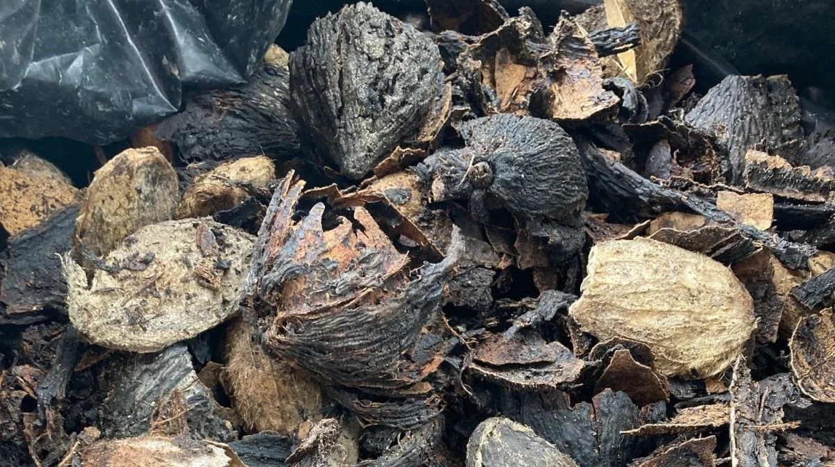 Pyrolyseanlægget i Senegal bliver fodret med alt lige fra majskolber og avner fra ris til skaller fra cashewnødder. Foto: FBCD/Cath Mersh 
