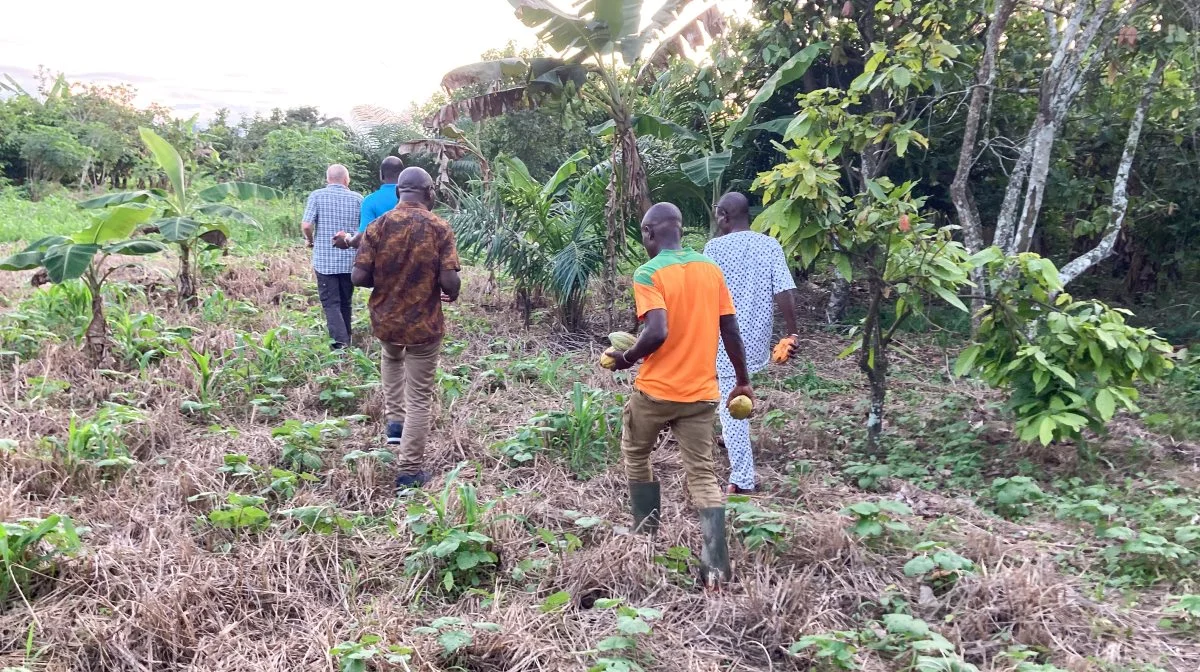 Under sit besøg i Senegal mødte Knud Tybirk også lokale landmænd. Det er væsentligt for projektet, at det giver mening for dem, for at øge deres motivation for at deltage. Foto: FBCD/Cath Mersh 
