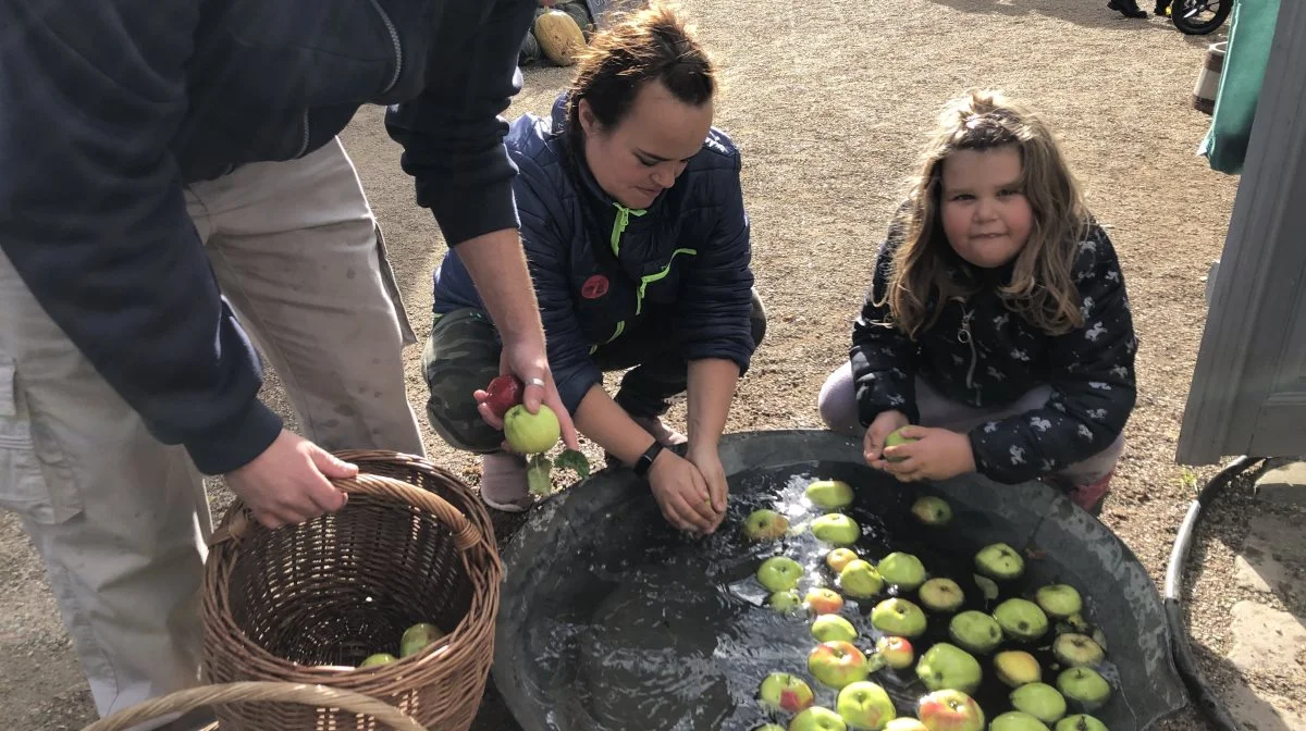 Der er over 200 forskellige æblesorter i Gammel Estrups æblehave, og i efterårsferien kan man udvælge sine egne æbler og presse dem til æblemost, som man kan tage med sig hjem.