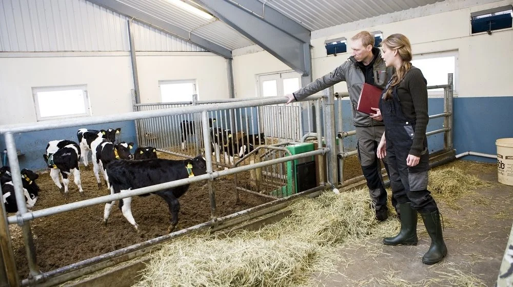 Det er en rigtig god forretning for landmanden på flere parametre, hvis han/hun formår at holde på sine medarbejdere. Foto: Colourbox