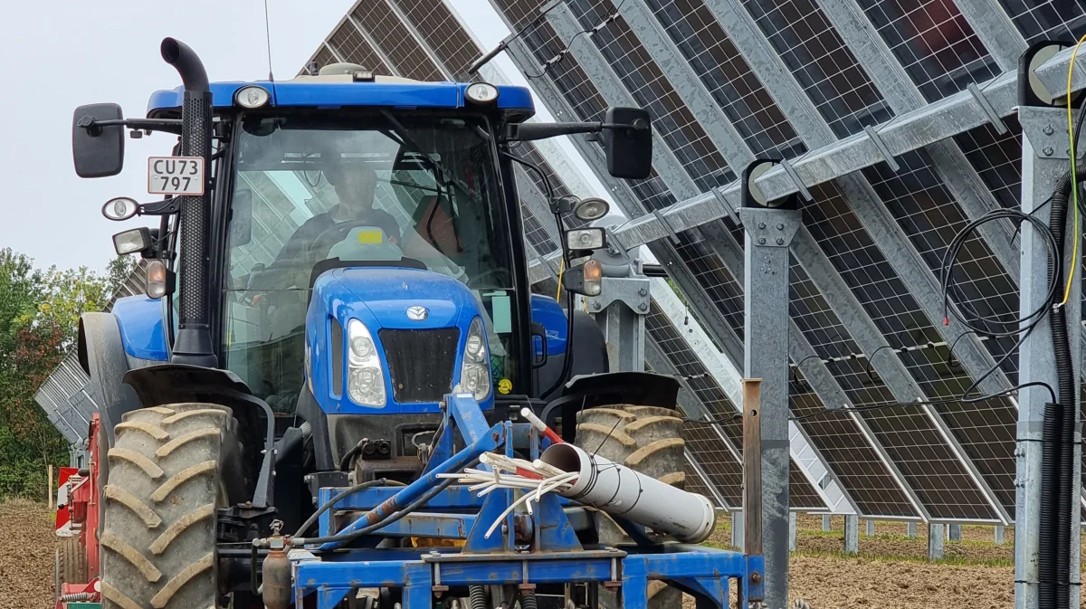 Med AgriVolt afprøves en form for afgrødehåndtering, hvor der både dyrkes afgrøder og produceres energi på samme tid. Fotos: Anders Lei