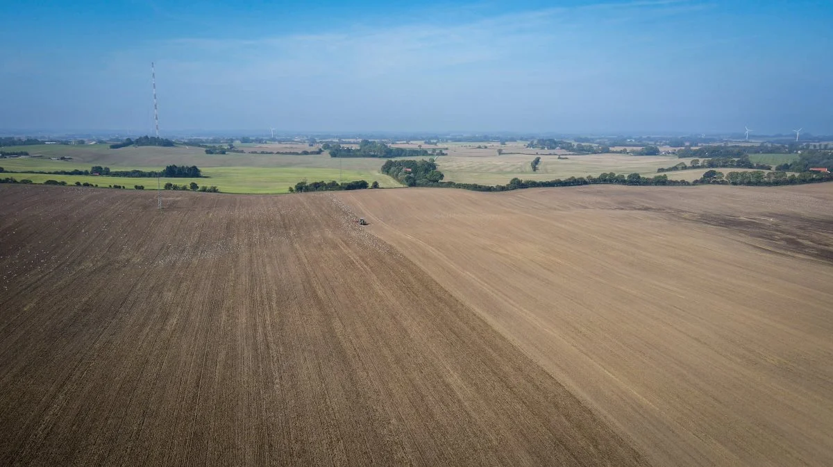 Landbruget Vesterskov tæller omtrent 1.600 hektar med tilhørende tre sohold med sammenlagt 2.500 søer og en årlig produktion på 75-80.000 slagtesvin.