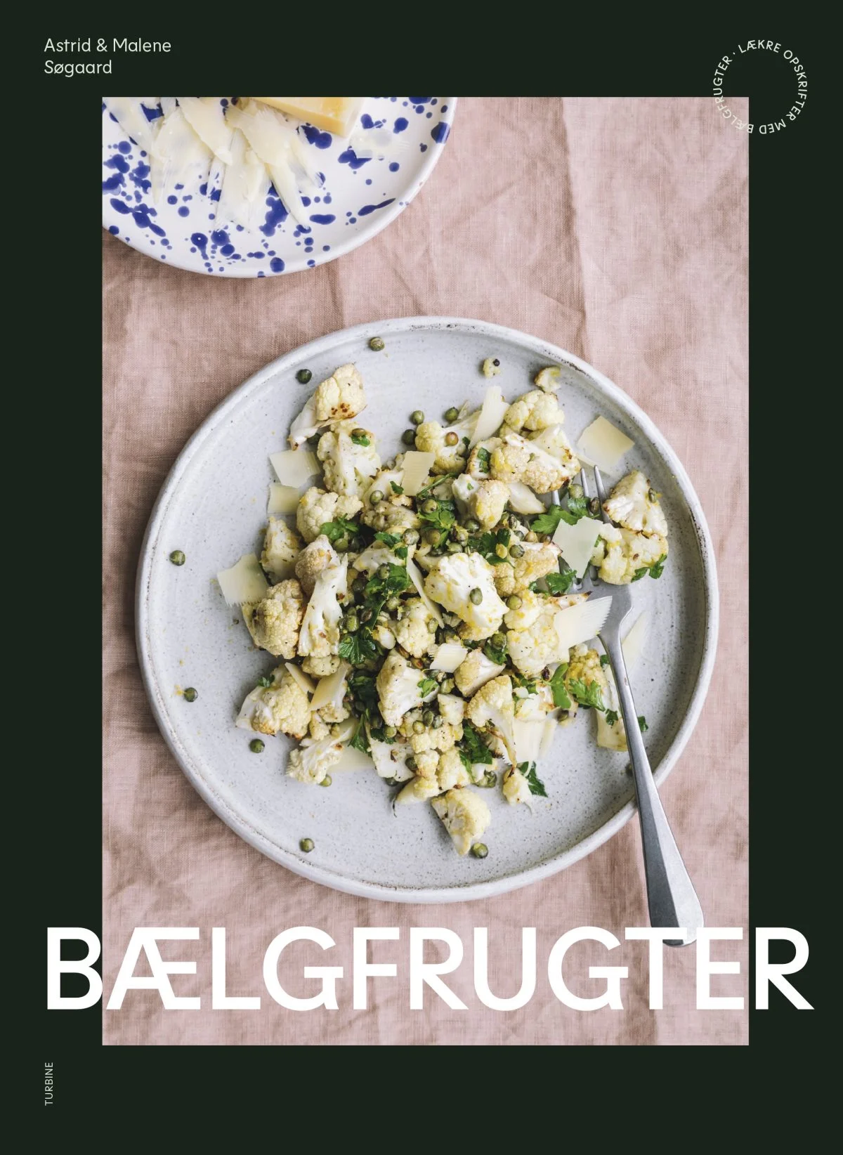 Her ses forsiden af bogen. Design: Karin Hald