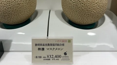 Prisskiltet i denne fine fødevarerbutik i Tokyo siger 32.400 yen for en enkelt melon. Med dagens kurs på yen er det 1.523 danske kroner for en melon, hvilket er en normal pris i butikken.