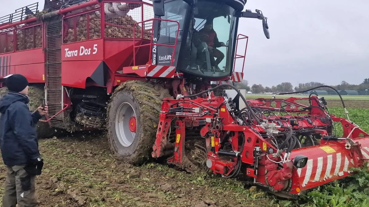 Holmer Terra Dos 5 roeoptager blev også vist i auktion på markdemoen.