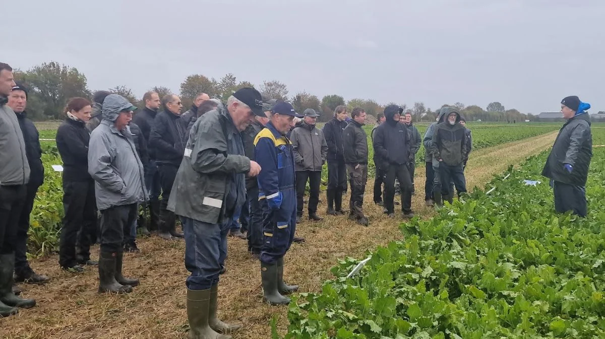 - Der er allerede god gang i bestillingerne af roefrø, så bestemte sorter kan eventuelt blive udsolgt, oplyste Henrik Møller (th) fra Sesvanderhave. 