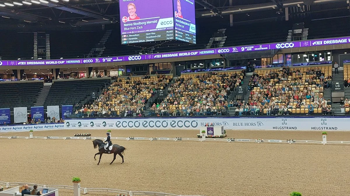 World Cup-stævnet i Herning blev det sidste internationale stævne for den 19-årige avlshingst Blue Hors Zack. Foto: Camilla Bønløkke