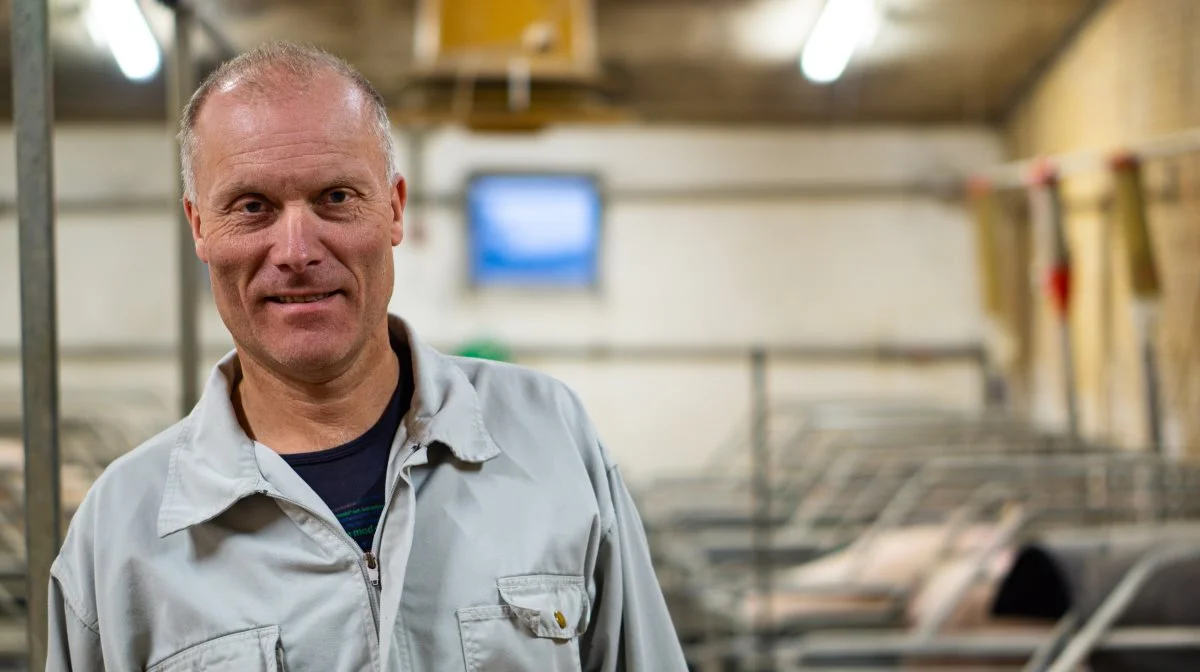 - Det er ikke tilfældigt, men meget forskelligt, hvad vi ser på flere gårde, fortæller svinefagdyrlæge Tage Rødbro om ormeforekomsten ude i besætningerne. Arkivfoto: Daniel Barber.