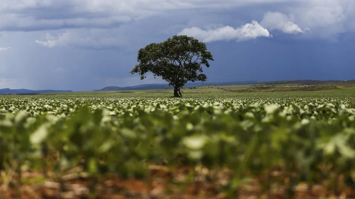 Foto: Marcelo Camargo/Agência Brasil