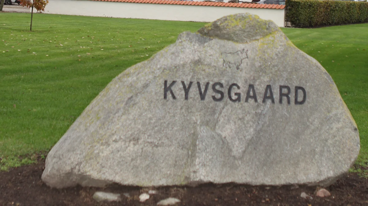 Kyvsgaard lage bedrift til LandboNords faglige bedriftsdag, hvor godt 100 besøgende havde fundet vej til Langholt. Fotos: Line Brusgaard