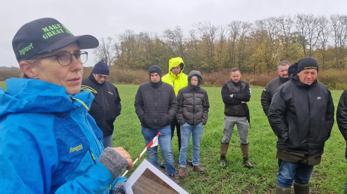 Planteavlskonsulent Lene Mathiasen, Agrovi, gennemgår - i regn og blæst - markforsøg i vinterhvede, der viser hvordan jordbearbejdning især tandharvning giver mere og større tokimbladet ukrudt samt mere fremspiring af græsukrudt.