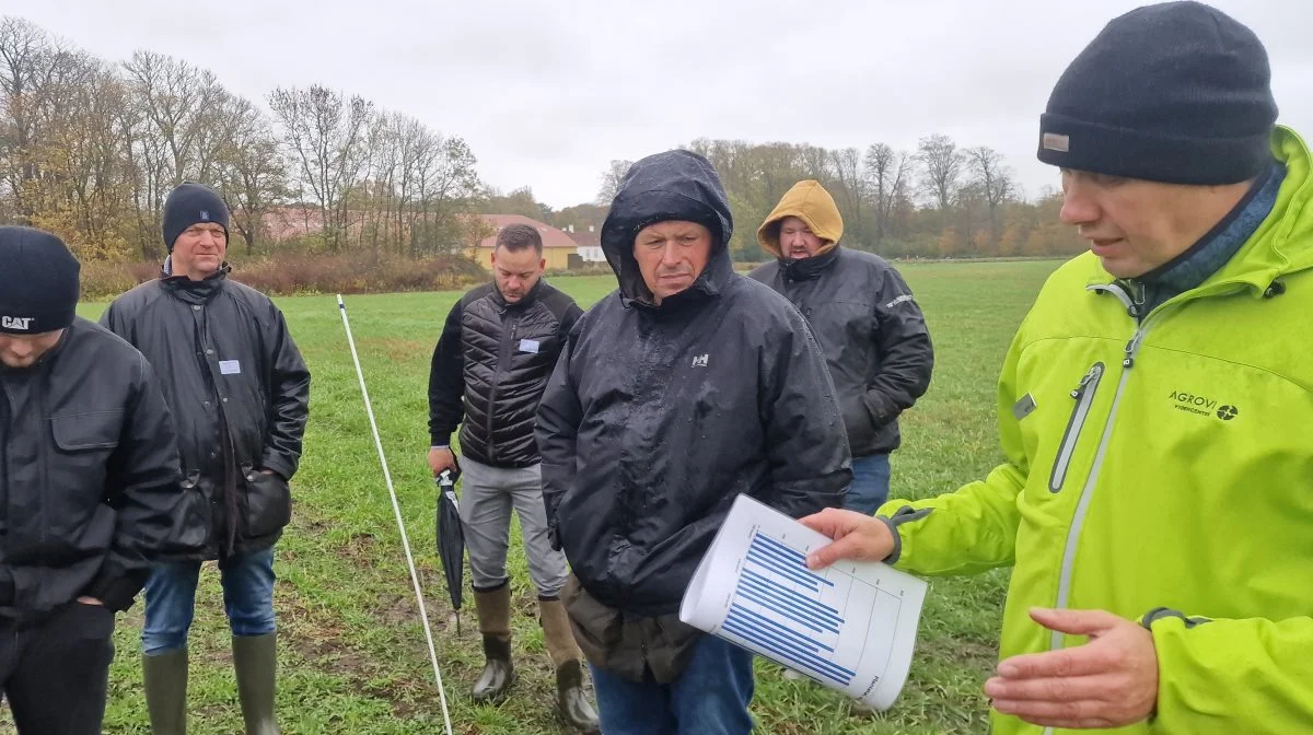 Martin Kudsk, planteavlskonsulent hos Agrovi (th), understreger, hvor få penge, der er investeret i denne direkte såede vinterhvede. - En såning, 970 gram glyphosat, lidt såsæd og lidt gødning, som i denne mark godt kunne have været undværet. Det er alt, påpeger han.