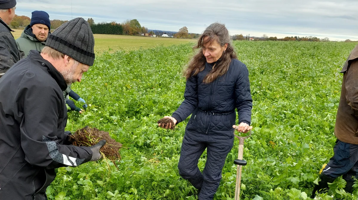 Annette Vibeke Vestergaard er faglig ekspert i FRDK, og viste rundt i efterafgrødemarken hos Jacob Justesen, hvor man blandt andet har konstateret flere insekter og god kvalitet i jorden. Foto: John Ankersen