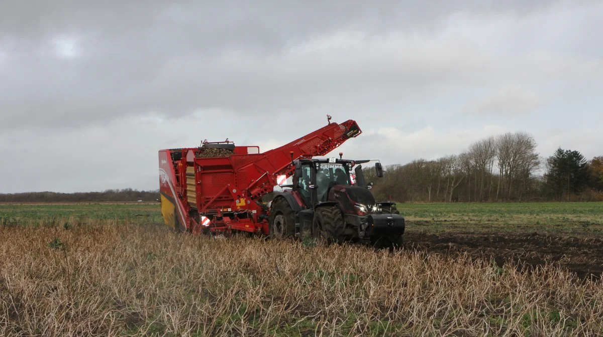 Grimme Evo 280 har træk på begge hjul - en vigtig faktor på den varierende jord hos JSJ Agro i Vendsyssel. 