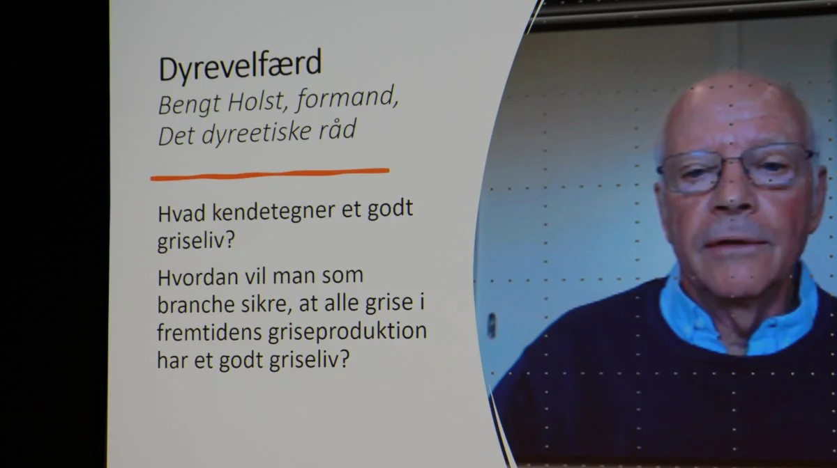 Bengt Holst, formand for Det dyreetiske råd stillede spørgsmålet: Hvad kendetegner et godt griseliv? Fotos: Henriette Lemvig