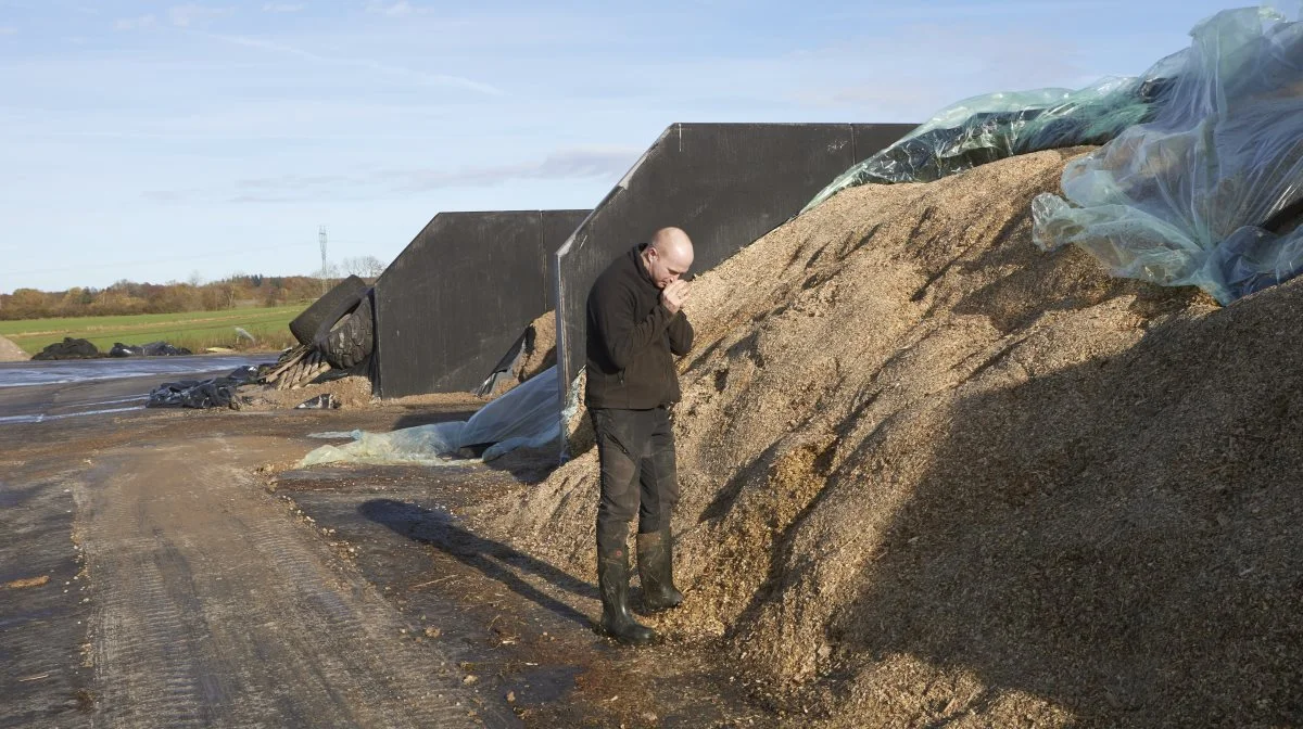 Christian Jørgensen glæder sig over det store majsudbytte og den gode ensilagekvalitet. Der er netop taget hul på den nye majs i det nye plansiloanlæg. Fotos: Erik Hansen