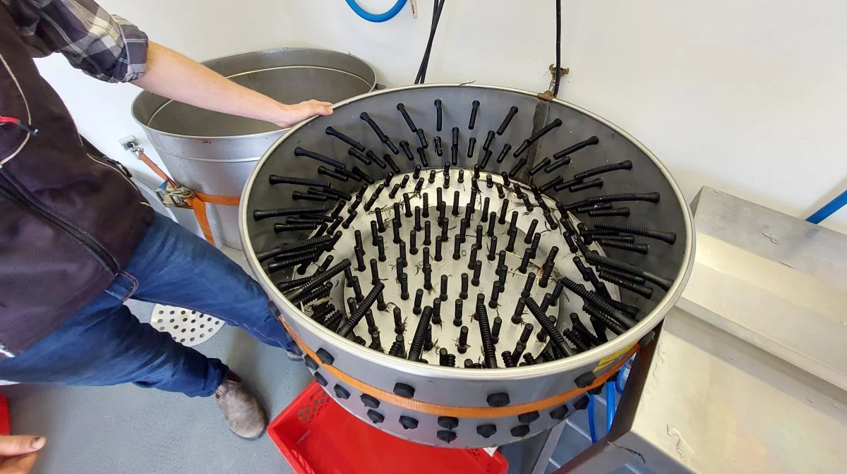 Næste proces er nedsænkning af fuglen i varmt vandkar inden turen går i denne centrifuge, der fjerner fjer fra fuglen. Foto: John Ankersen