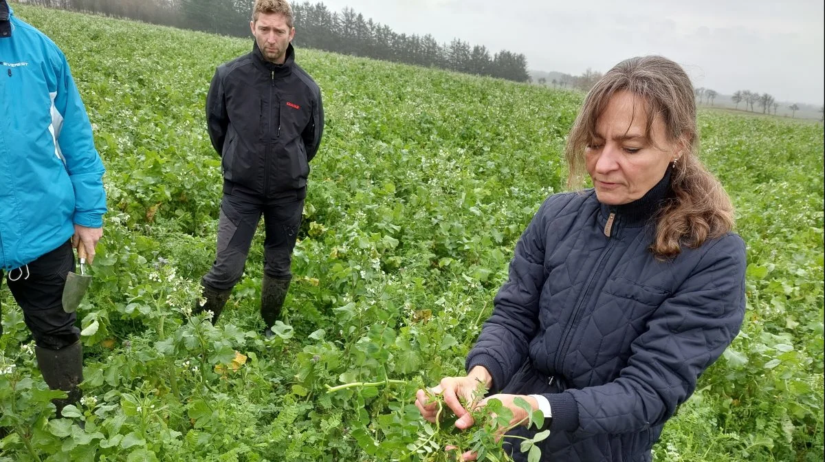 Annette Vibeke Vestergaard viste Carbon Farm-forsøgsparcellerne frem.