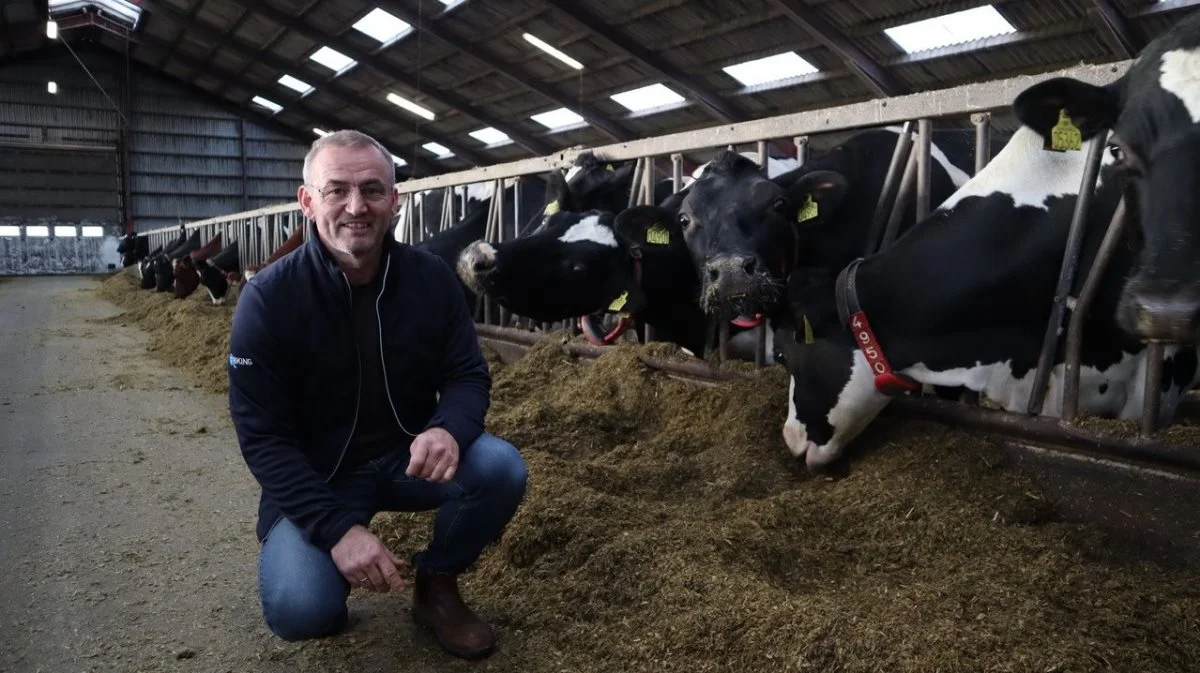 Et af de tiltag, Harald Olsen har gjort for at forbedre køernes sundhed og reducere bedriftens klimaaftryk, er at inkludere det naturlige foderadditiv, Easylin fra Nordan AgriCore, i foderplanen. 