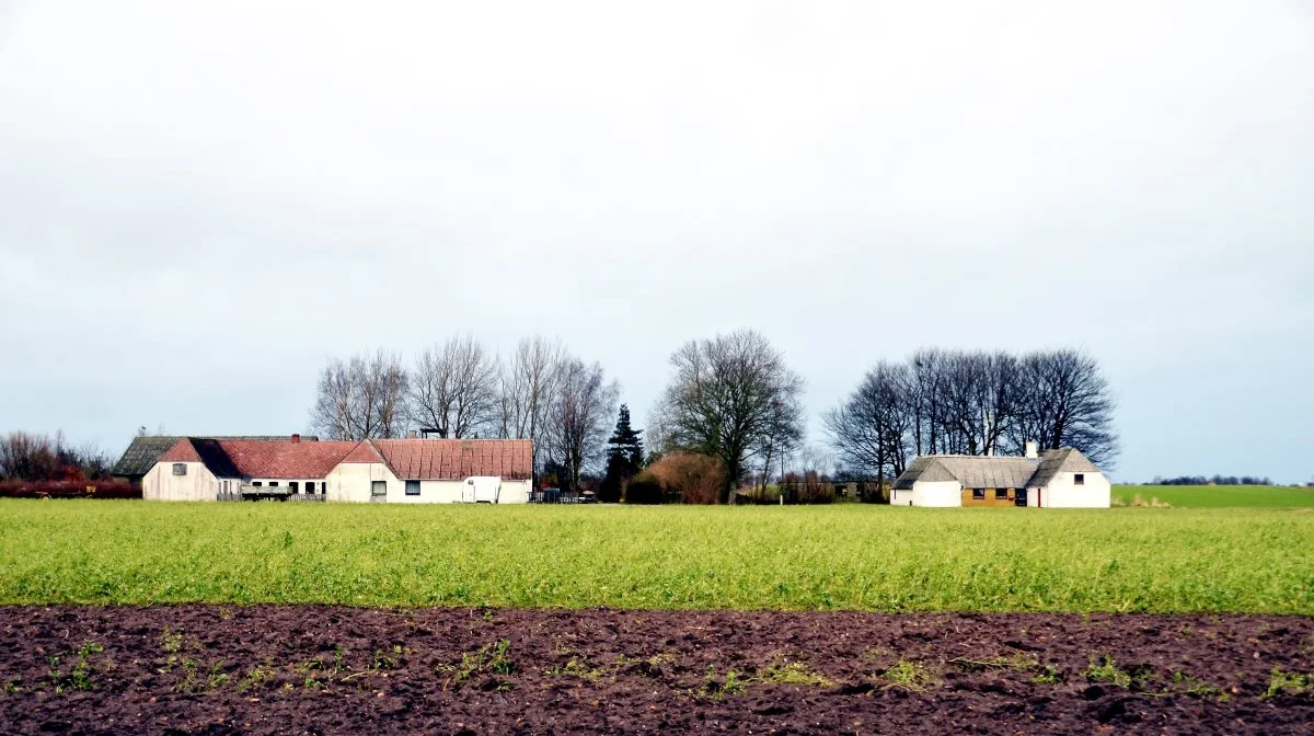 Der er blevet langt mellem annoncerne for de store landbrug, der er til salg i Danmark. Ejendommen her er ikke nødvendigvis til salg lige nu. Arkivfoto: Colourbox