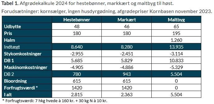 Velas afgrødekalkule for 2024 viser, at bælgsæden er langt fra kunne konkurrere med maltbyg på økonomi. Men Casper Andersen anbefaler stadig bælgsæd som en del af det sunde sædskifte. Kilde: Velas