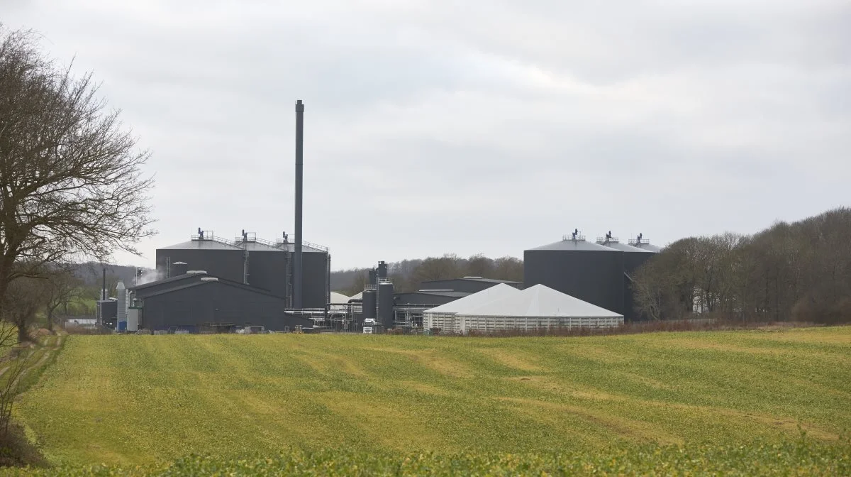 Omtrent en tredjedel af al husdyrgødning i Danmark bliver afgasset i et biogasanlæg. I 2030 forventes det at være to trejdedele. Arkivfoto