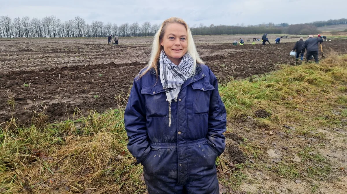 Det er madspildsentusiasten Malene Raaberg Mifan, der har taget initiativ til ordningen, hvor man kvit og frit kan besøge marken og grave kartofler op. For ellers går de tabt.