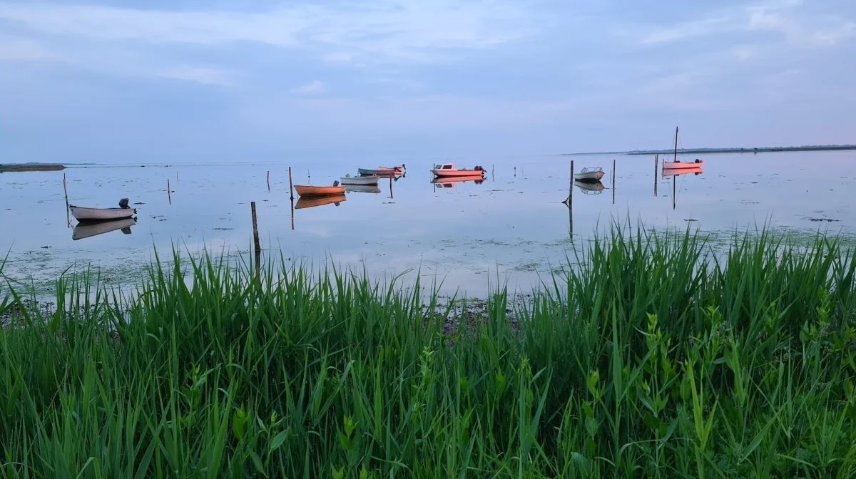 Strynø vandt prisen som Årets Ø i 2022. Foto: Forenet Kredit
