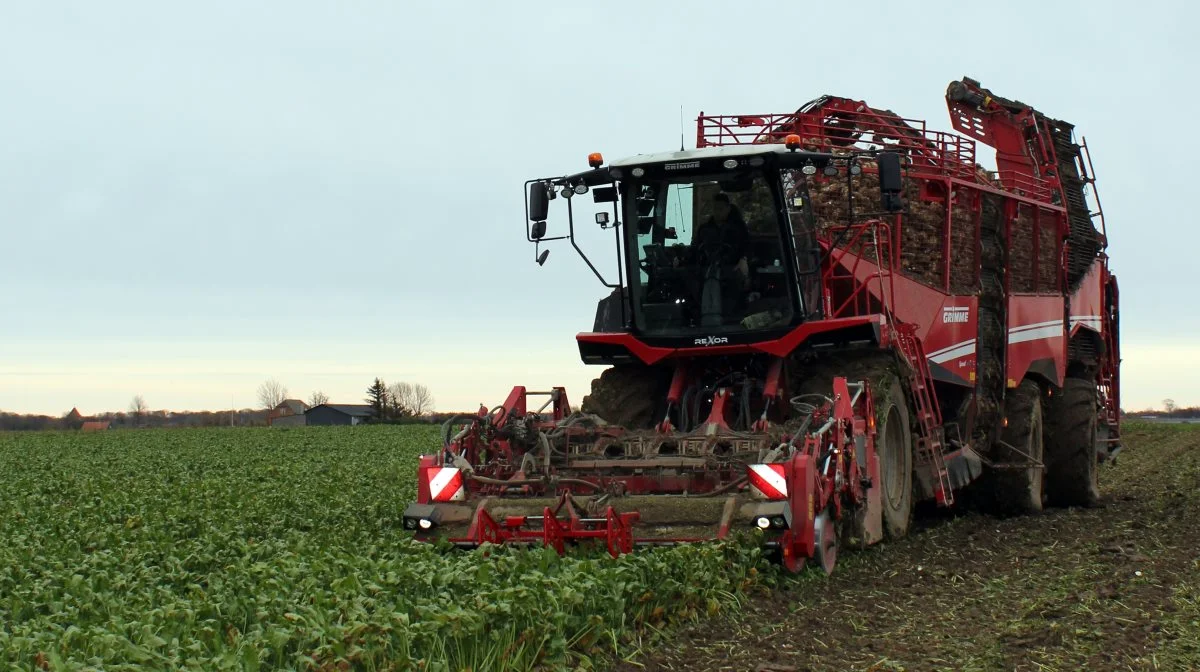 Vejrbetingelserne har langt fra været ideelle i denne sæson, og i november har det været svært at komme i marken. Foto: DLF Beet Seed
