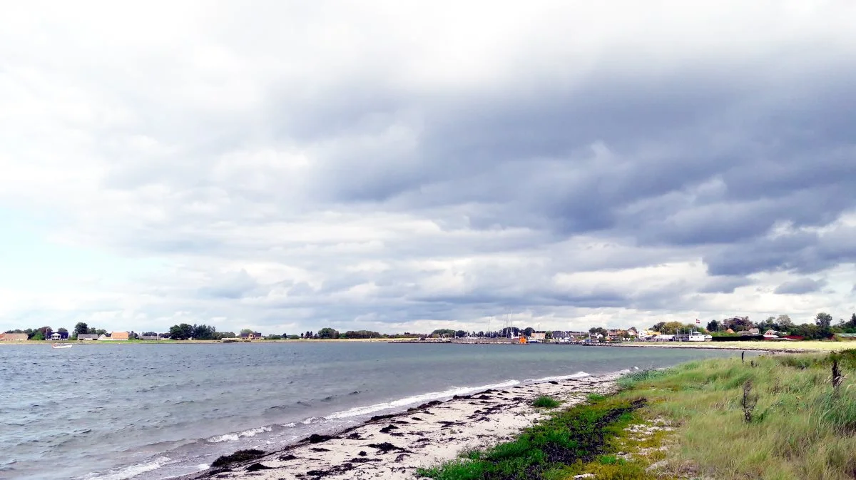 Landbrug & Fødevarer indbyder til webinar torsdag den 30. november om vandmiljø og vandplaner. Arkivfoto: Camilla Bønløkke 