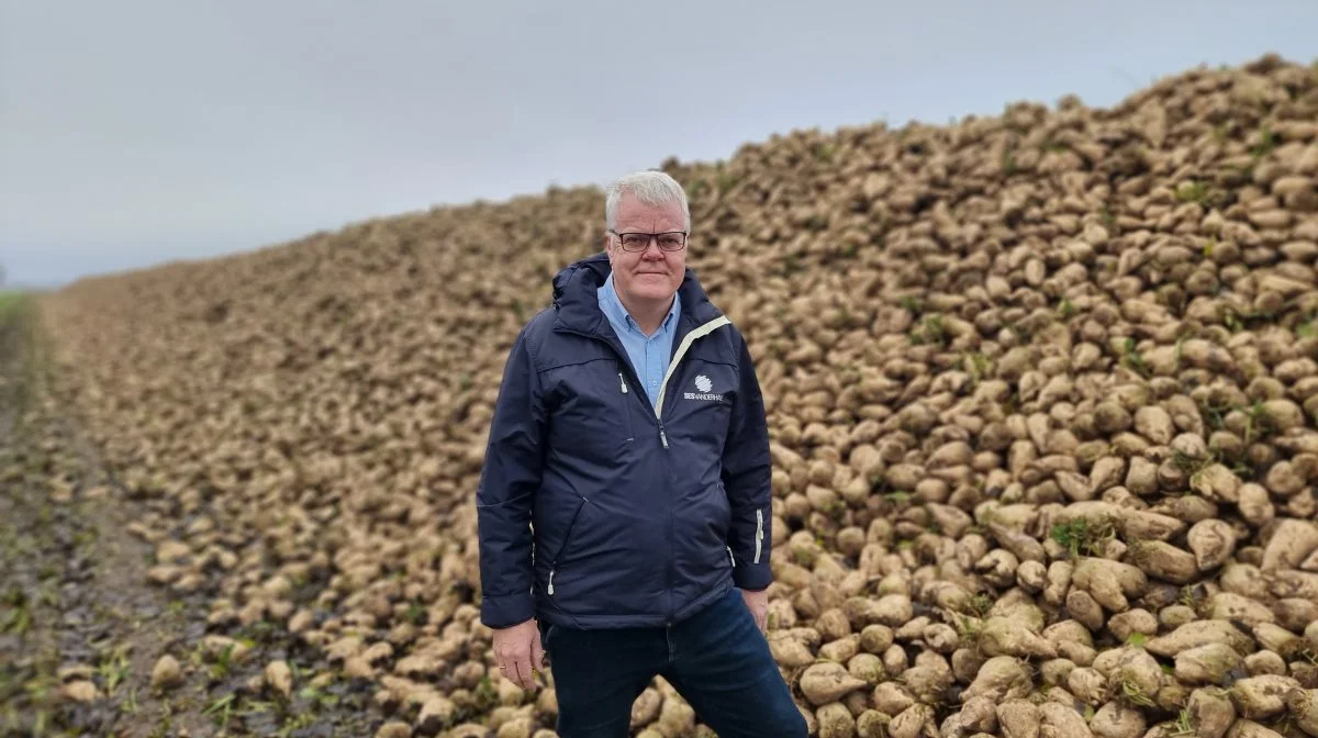 Henrik W. Møller, regionschef for Sesvanderhave i Skandinavien. Foto: Anders Lei
