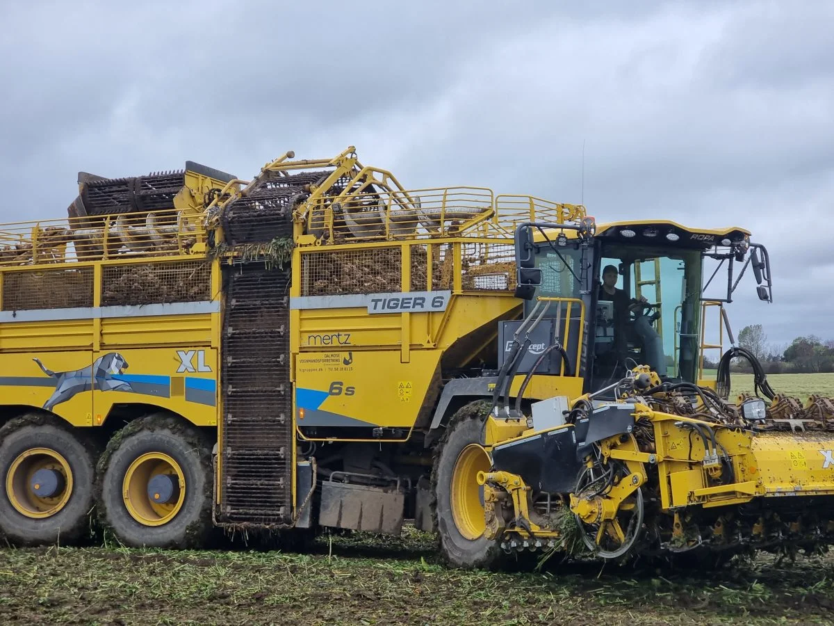 Ropa Tiger 6S XL, ni-rækket roeoptager med kitskær.