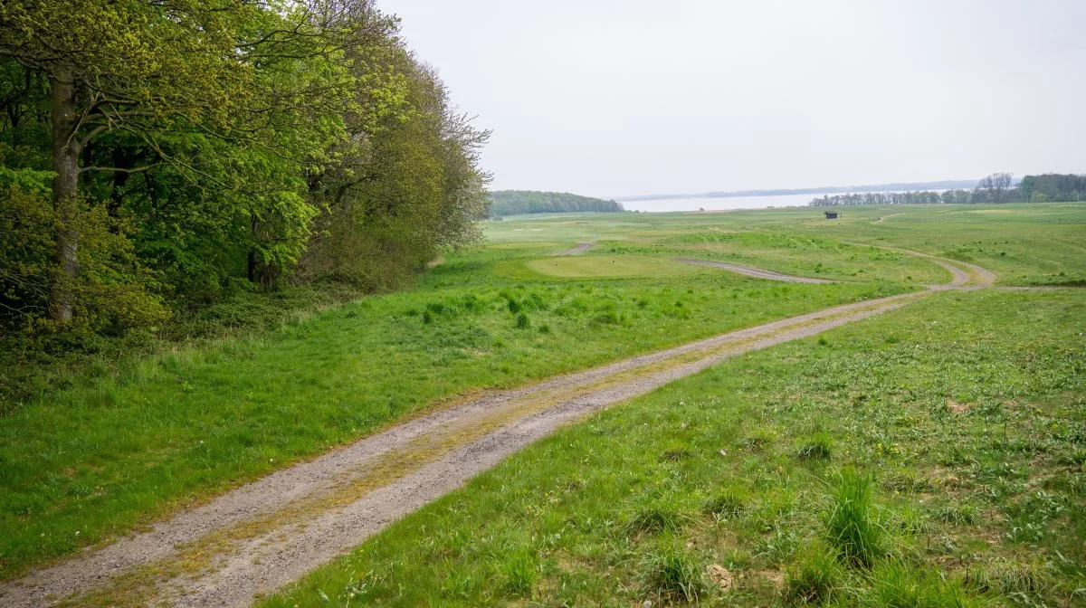 Det er en udbredt holdning til dansk landbrug, at det er vigtigt at tage hensyn til både natur, miljø, biodiversitet og klima. Arkivfoto: Alexander Dornwirth