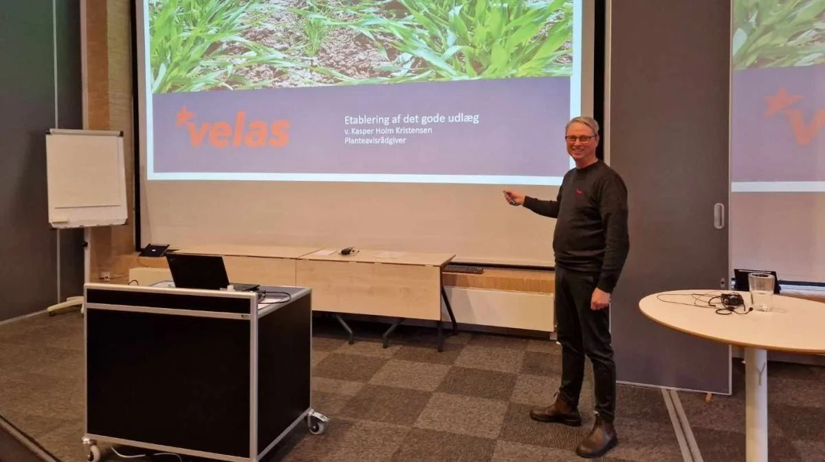 Planteavlskonsulent Kasper Holm Kristensen fortalte om etablering af det gode udlæg og fremhævede både sædskifte og management som væsentlige parametre.