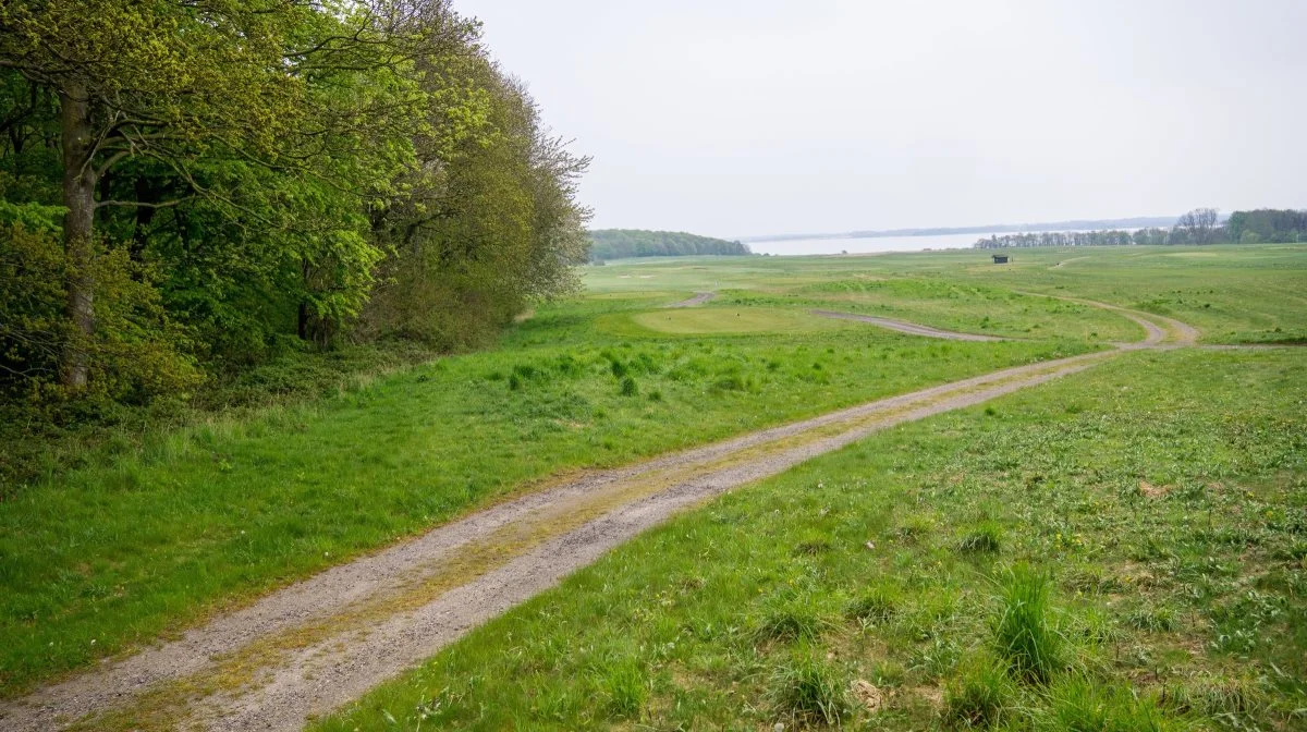Det er en udbredt holdning til dansk landbrug, at det er vigtigt at tage hensyn til både natur, miljø, biodiversitet og klima. Arkivfoto: Alexander Dornwirth