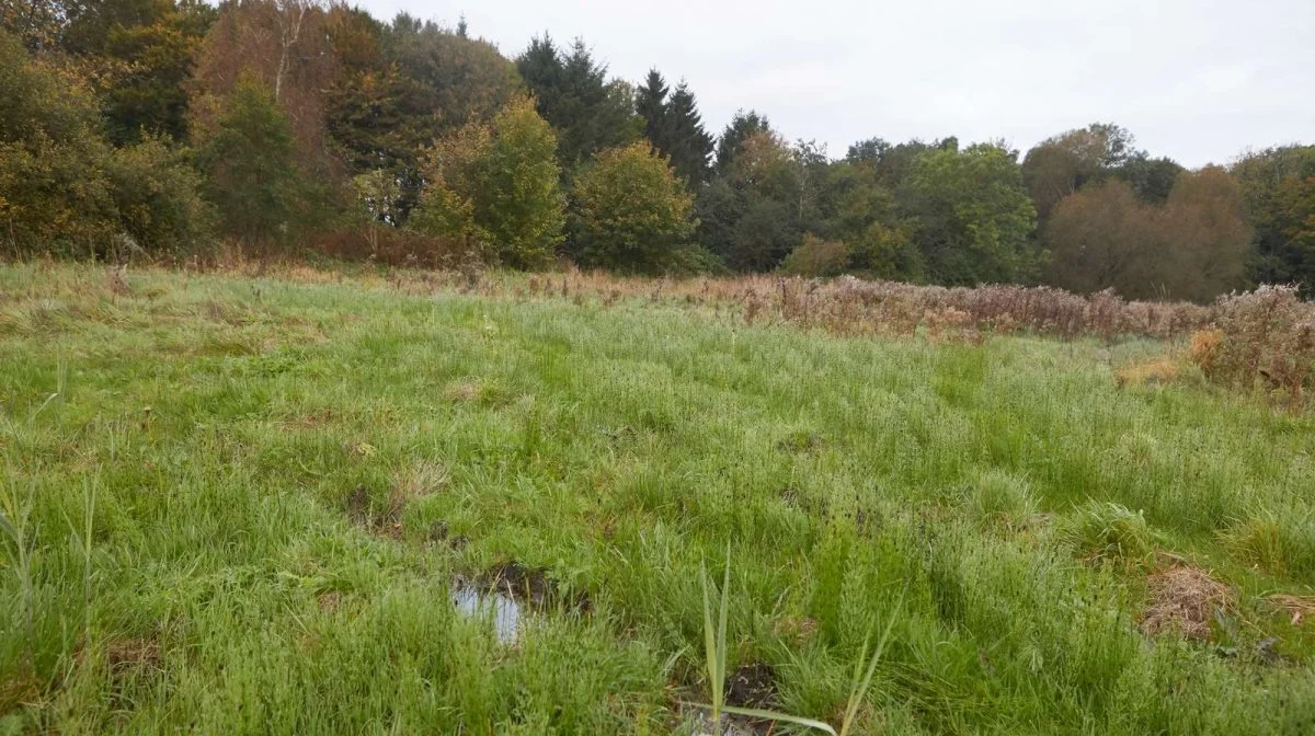 Formanden for landbrugs- og rådgivningsforeningen Spiras, Henrik Jessen, fortæller, at de stadig vil rådgive landmænd til at gå ind i evt. forundersøgelser af deres jord for at se mulighederne for udtagninger på deres arealer. Arkivfoto: Erik Hansen
