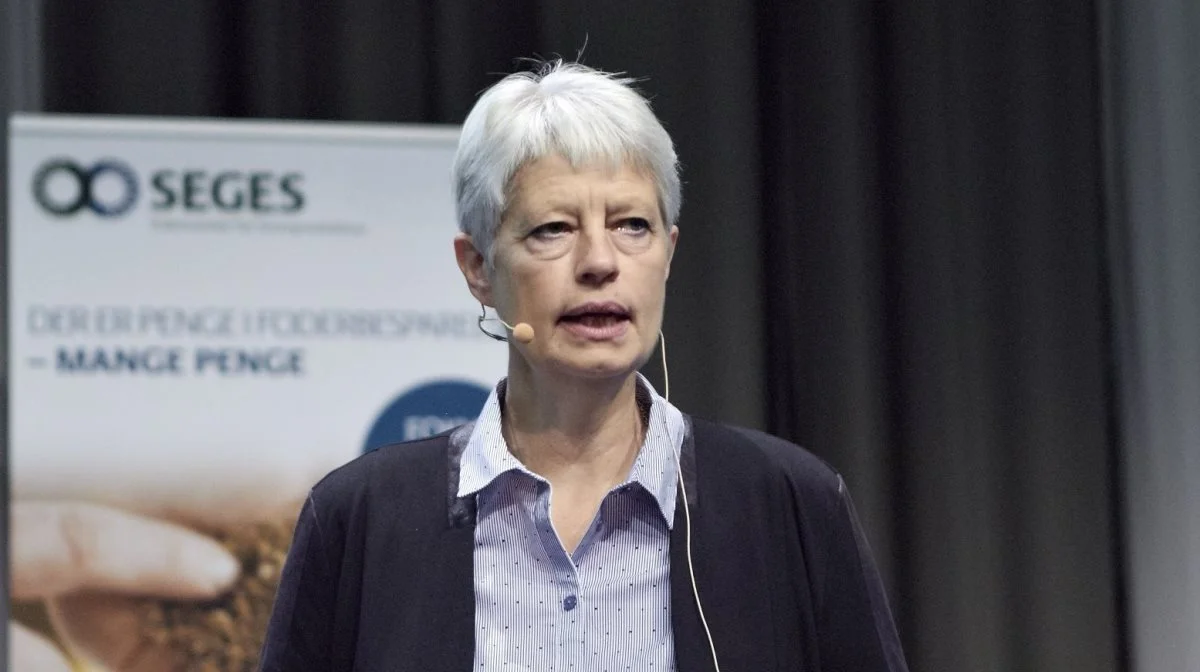 Det var svinerådgiver Gitte Hansen fra VKST, der i sommer opdagede, at noget var helt forkert i Ringsted-slagteriets måling af kødprocent. Foto: Camilla Bønløkke