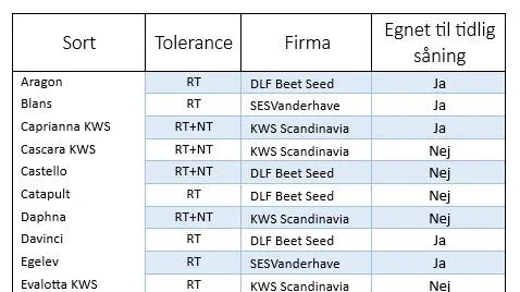 Nordic Sugar har netop offentliggjort listen over sukkerroesorter, som kan købes til sæson 2024. 