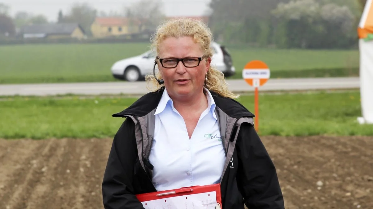 - Frøpriserne er i gennemsnit højere for NT-sorter, og det skal tages med i overvejelser ved sortsvalget, hvis der ikke er konstateret nematoder eller mistanke herom i årets roemarker, påpeger Charlotte Hansen. Arkivfoto