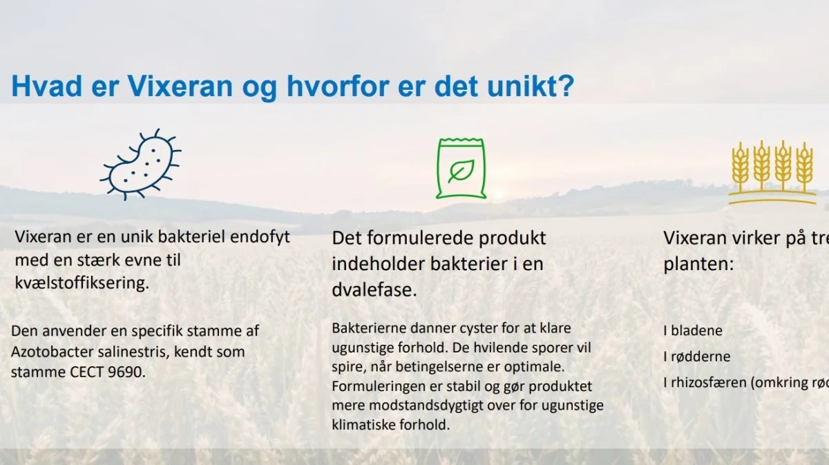 Biostimulanten Vixeran fra Syngenta er levende bakterier i dvale. De kan hjælpe en lang række afgrøder med at fiksere luftens kvælstof. 