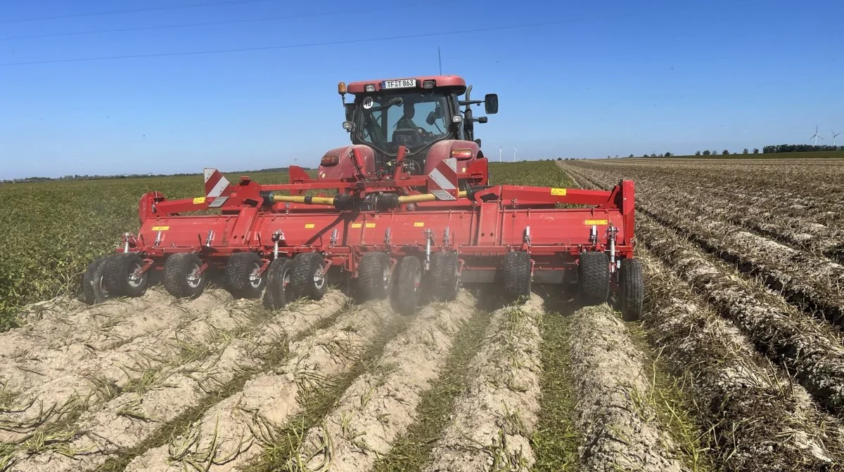 Den otte-rækkede Grimme Toppa 800 RW 75 er et alternativ til den otte-rækkede butterfly-udgave i serien. Foto: Grimme