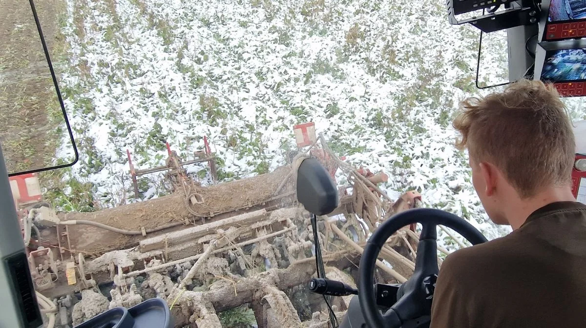 - Melderne stopper indføringen af roerne, så jeg må stoppe og bakke ind imellem, fortæller den erfarne pilot