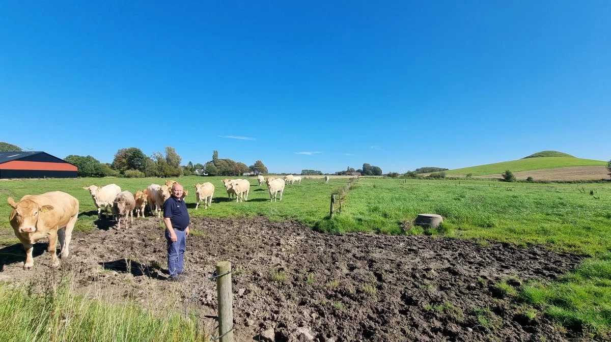 På grunden går der hvide køer, og indtil fredningen var på plads, havde Ole Gammelby drømme om at udvide besætningen og bygningerne på gården. Foto: Anders Lei