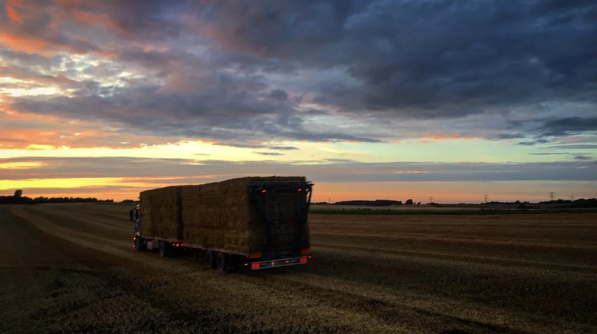 Hos DanskHalm vejrer man morgenluft, for der er flere brancher, der udpeger halm som ét af nøgleelementerne i deres grønne omstilling. Arkivfoto: Kasper Stougård