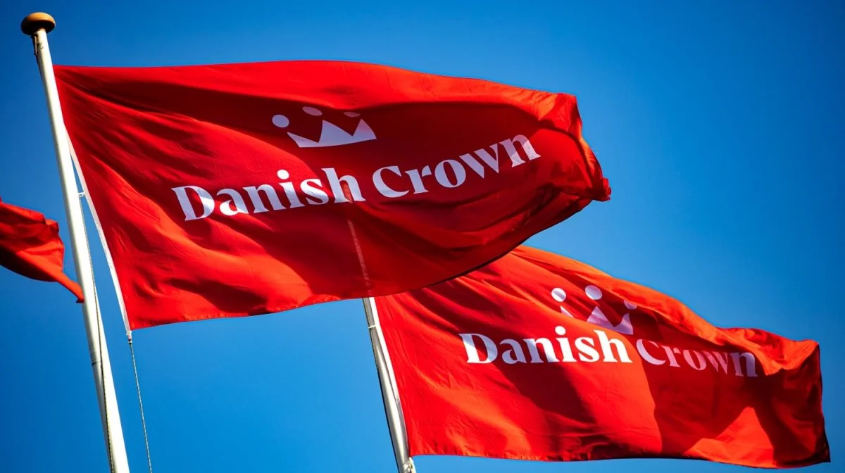 Danish Crown måtte tage flagene ned fra slagterikoncernens slagteri i Sæby, der lukkede på grund af mangel på indleverede grise til slagteriet. Arkivfoto: Danish Crown