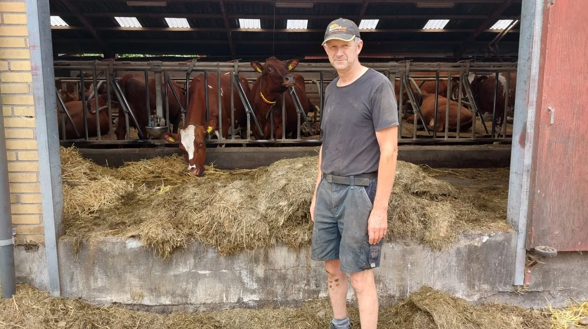I juni brugte Effektivt Landbrug en uge på Samsø, hvor vi blandt andet besøgte øens eneste mælkeproducent, Karsten Skole Christiansen. Arkivfoto: Christian Carus