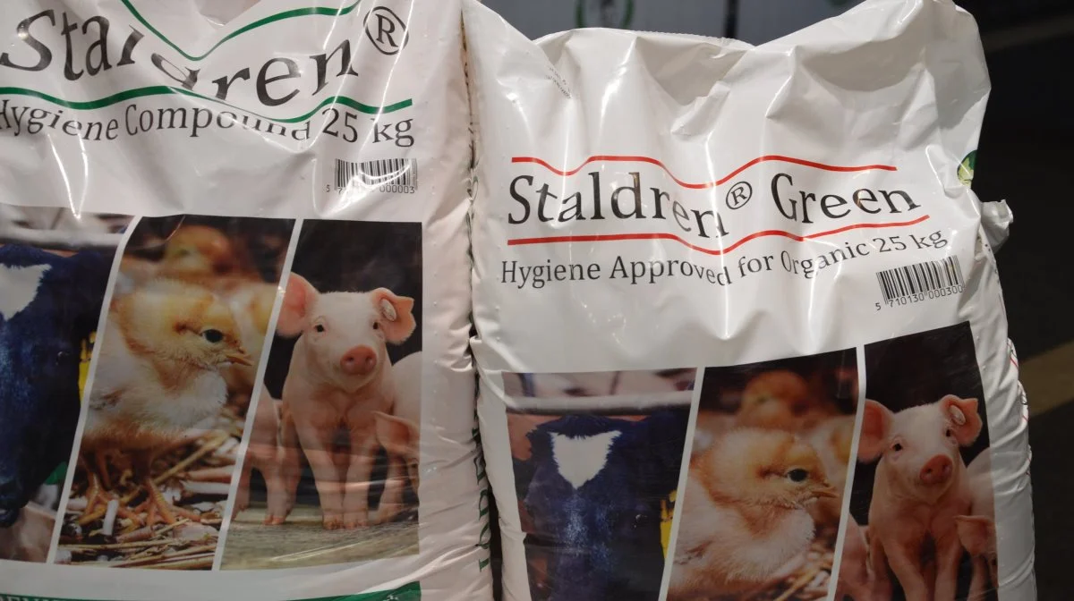 Nyt studie viser, at Staldren kan nedbryde afrikansk svinepest. Det oplyser producenten i en meddelelse. Arkivfotos: Camilla Bønløkke